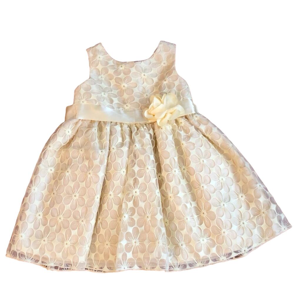 Youngland A-Line Embroidered Tulle Flower Aplique Sash Yellow Toddler Size 3